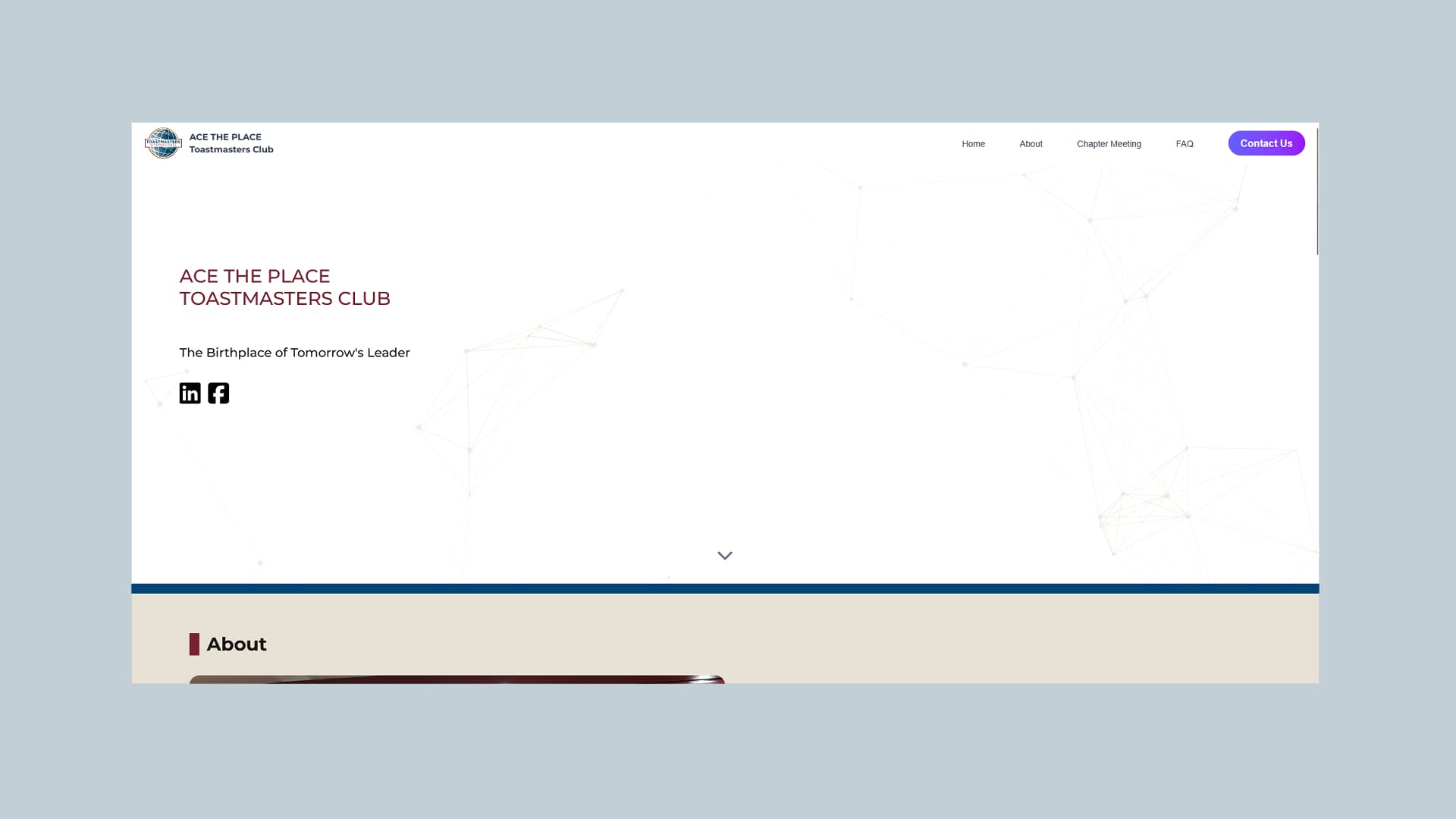 ACE The Place Toastmasters Club Website